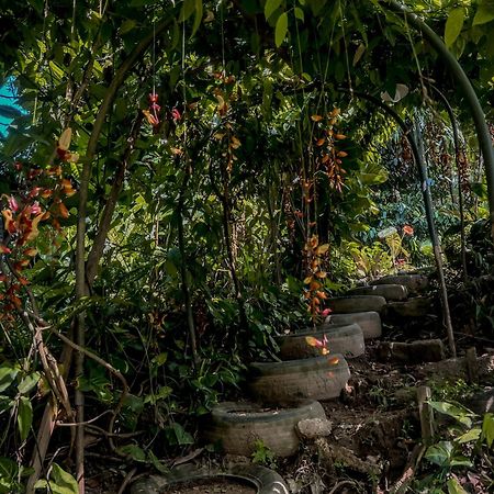 Secret Mountain Paradise 埃拉 外观 照片