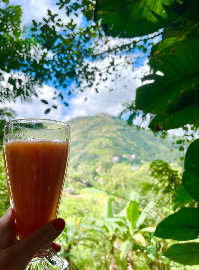 Secret Mountain Paradise 埃拉 外观 照片