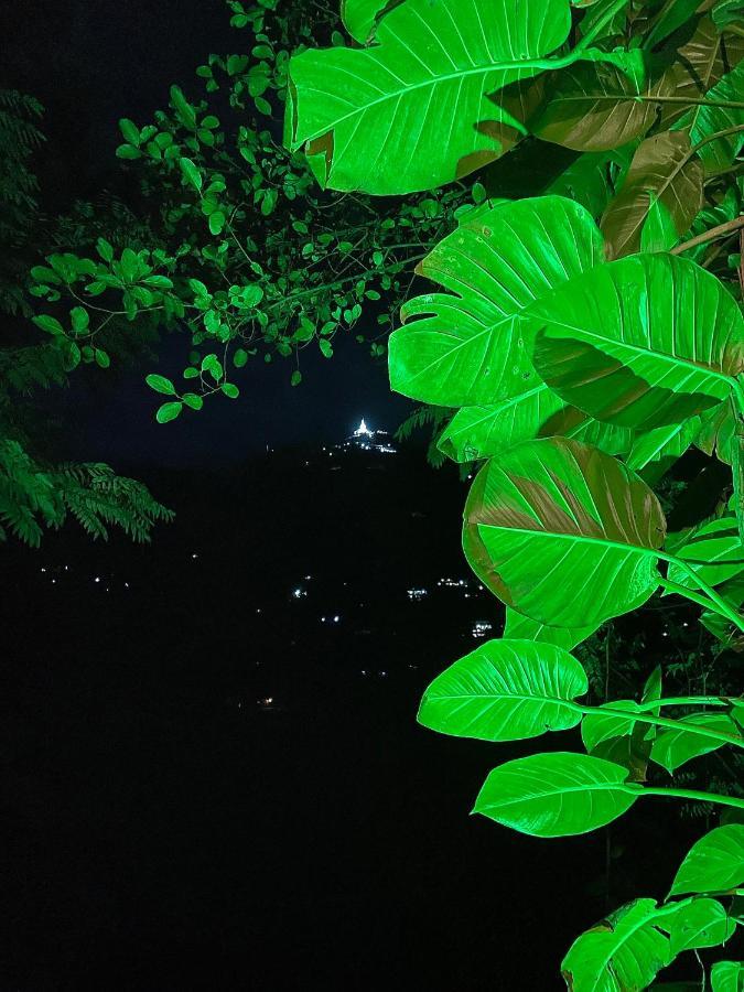Secret Mountain Paradise 埃拉 外观 照片