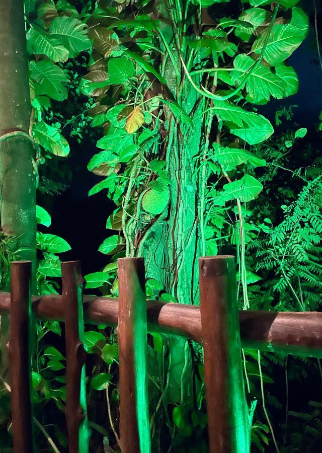 Secret Mountain Paradise 埃拉 外观 照片